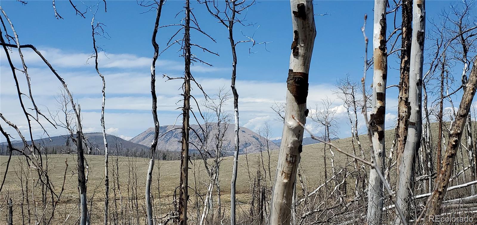 Photo of Listing #7617129