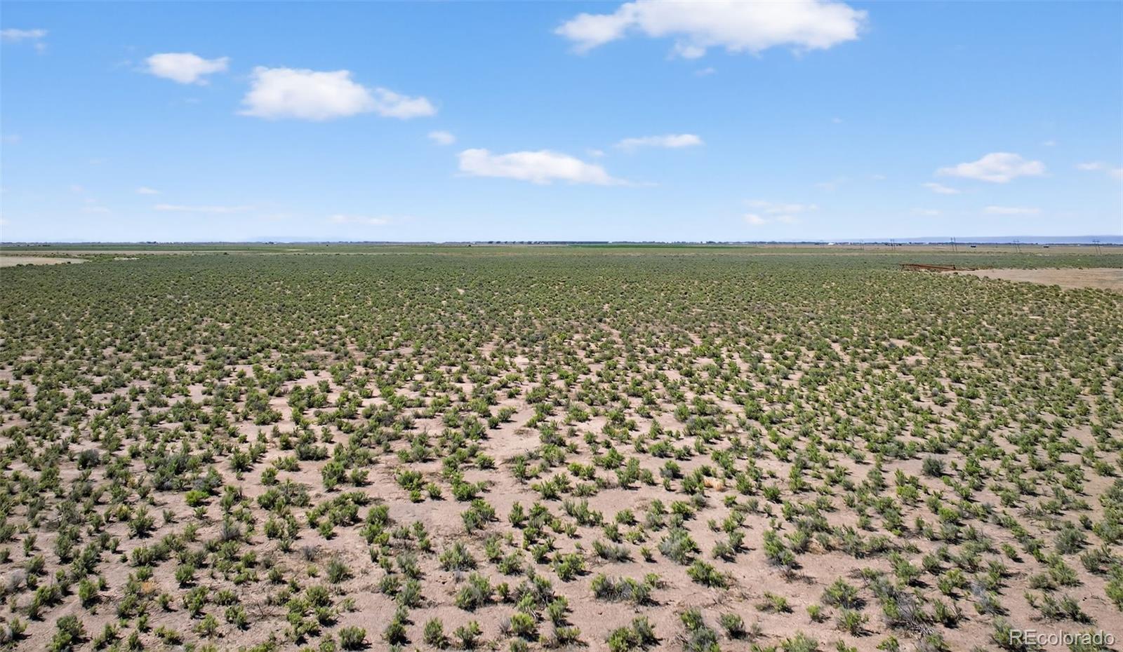 Photo of Listing #7618211