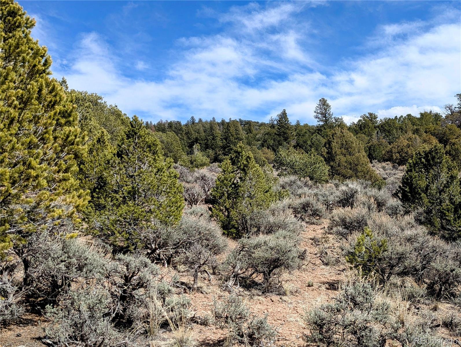 Photo of Listing #7620877