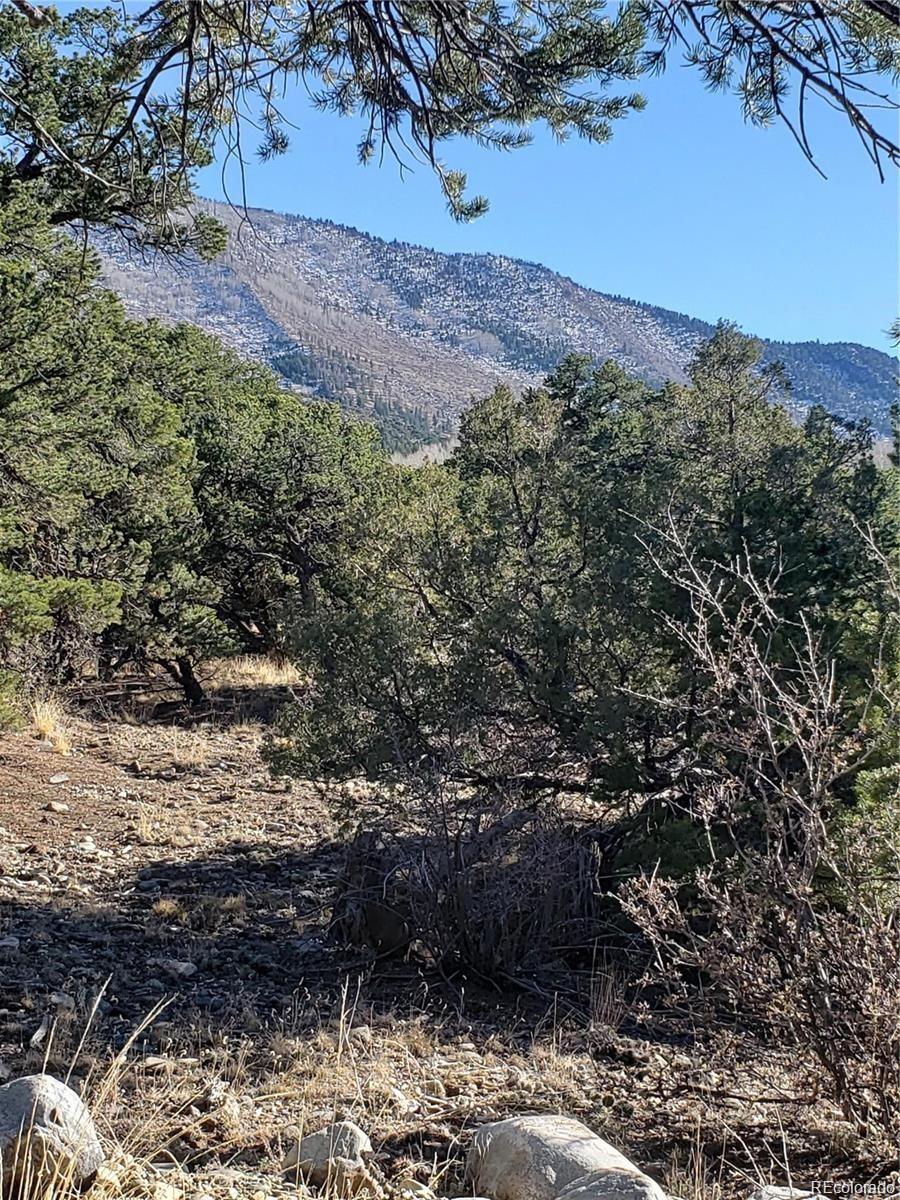 Photo of Listing #7623801