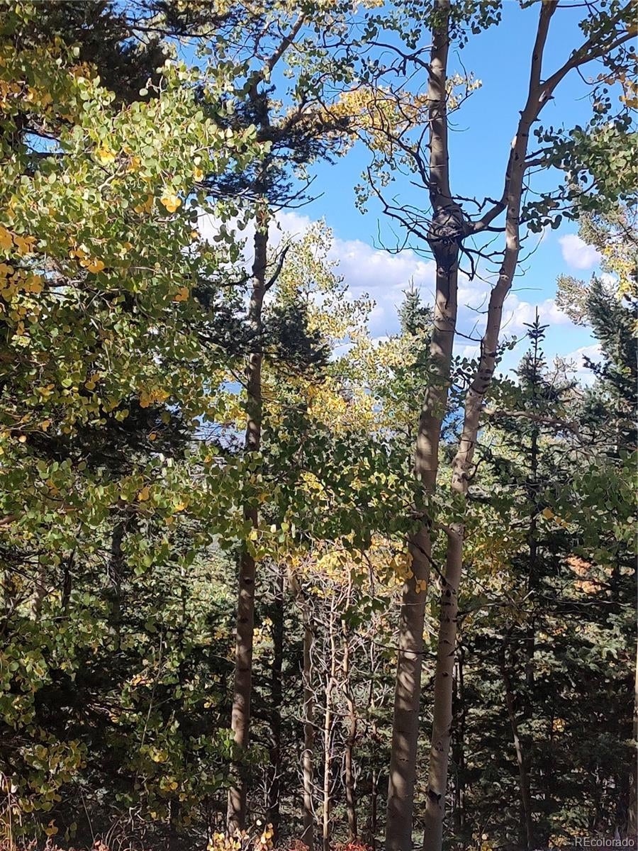 Photo of Listing #7646134