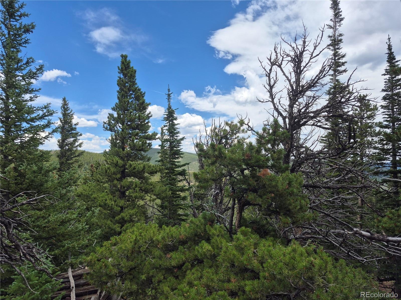 Photo of Listing #7707021