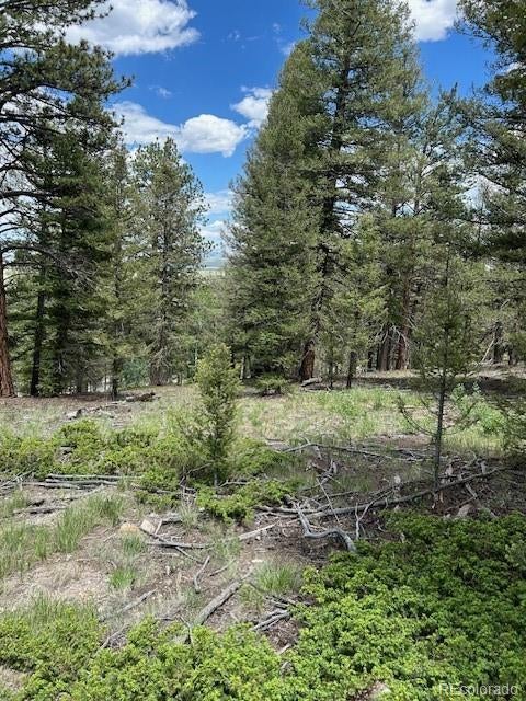 Photo of Listing #7717737