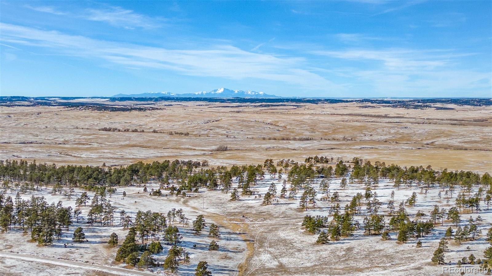 Photo of Listing #7732444