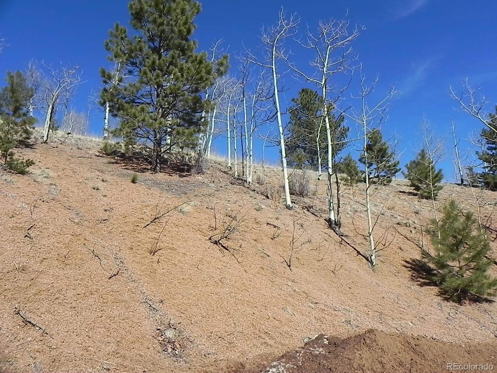 Photo of Listing #7733224