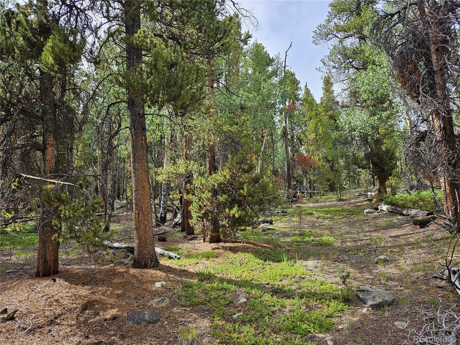 Photo of Listing #7745607