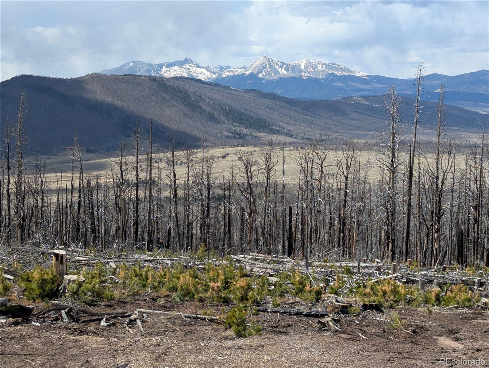 Photo of Listing #7785982