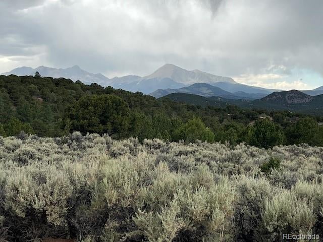 Photo of Listing #7787958