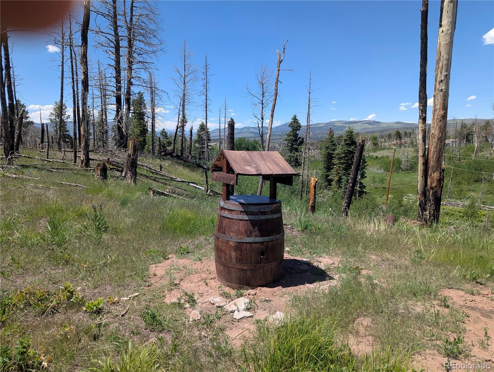 Photo of Listing #7797414