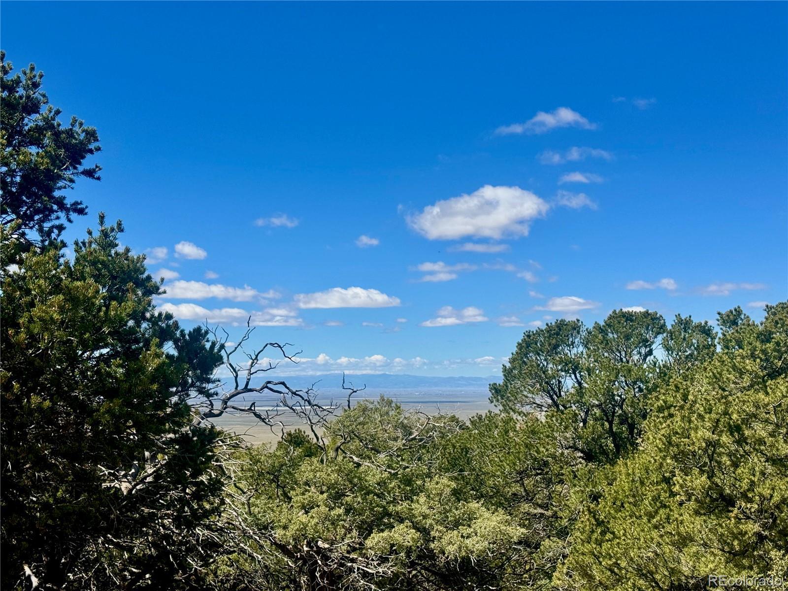 Photo of Listing #7835381