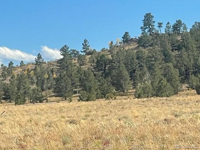 Photo of Listing #7837490