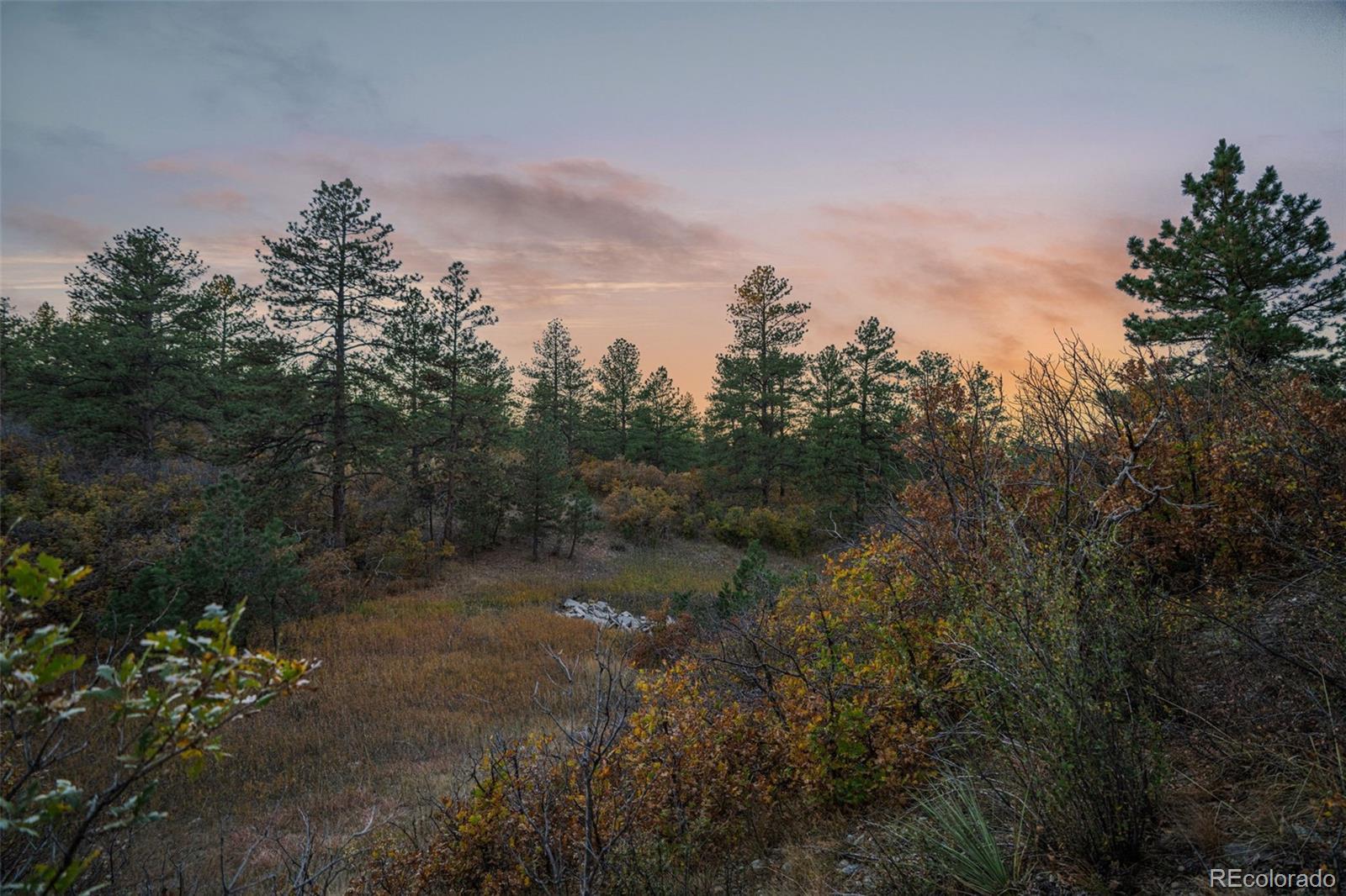 Photo of Listing #7838537