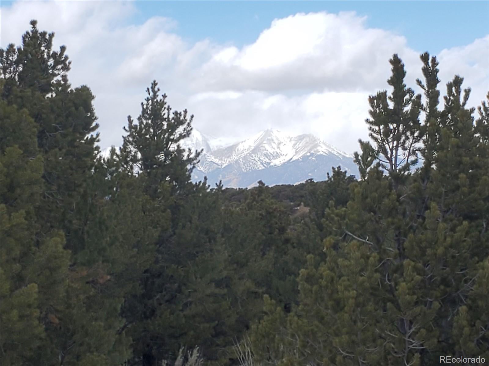 Photo of Listing #7905901