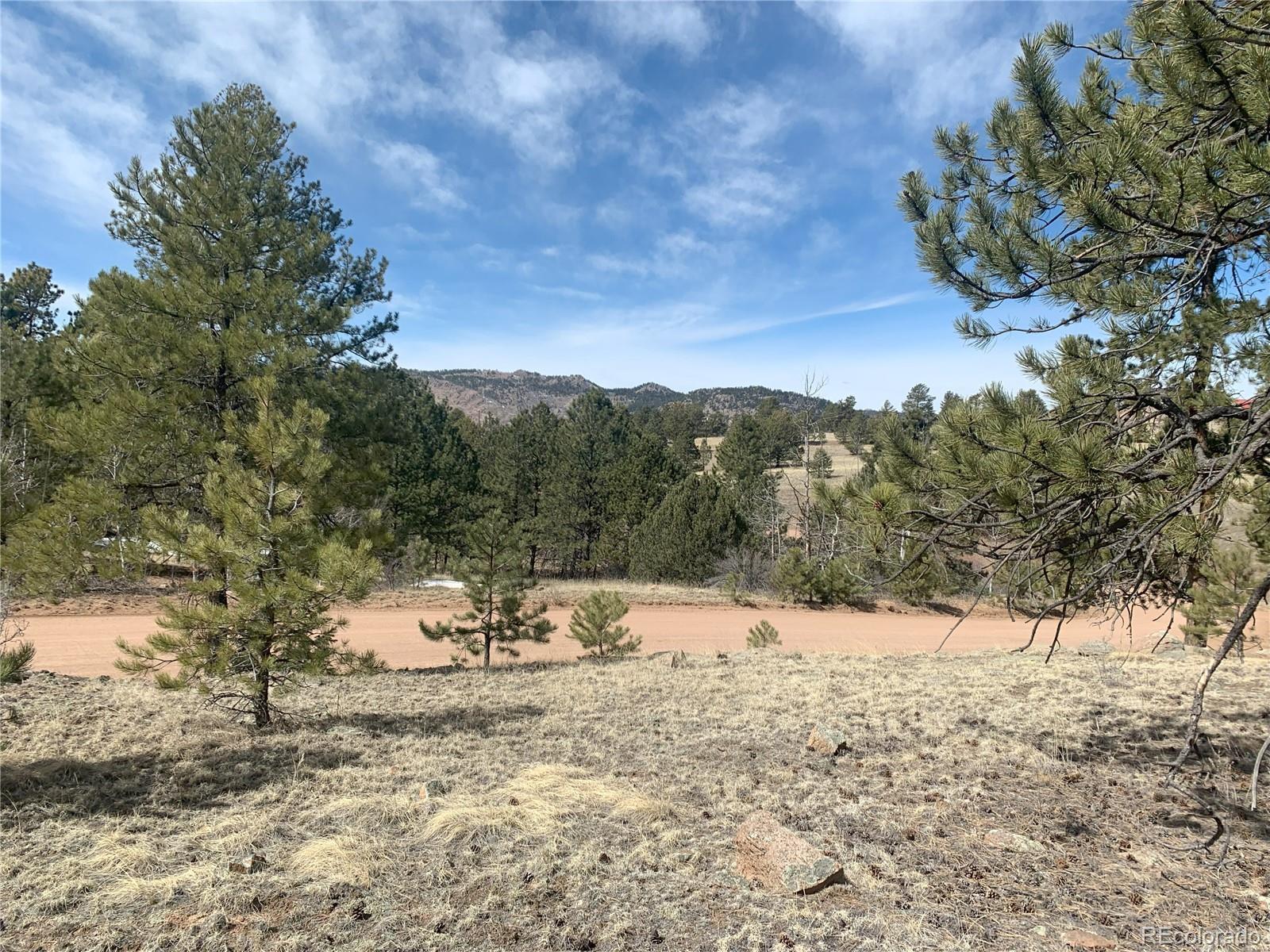 Photo of Listing #8045126