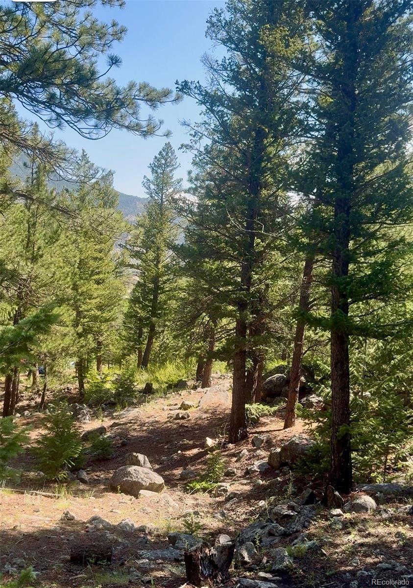 Photo of Listing #8069531