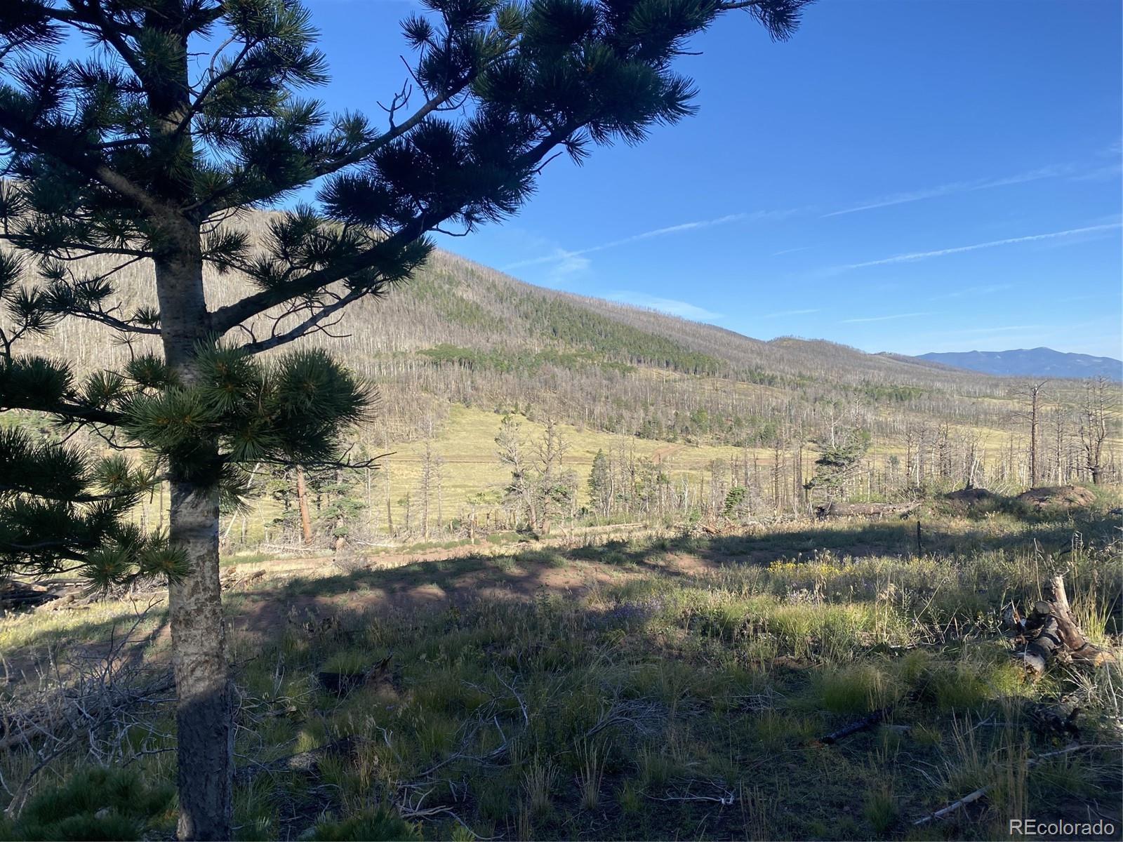 Photo of Listing #8081808