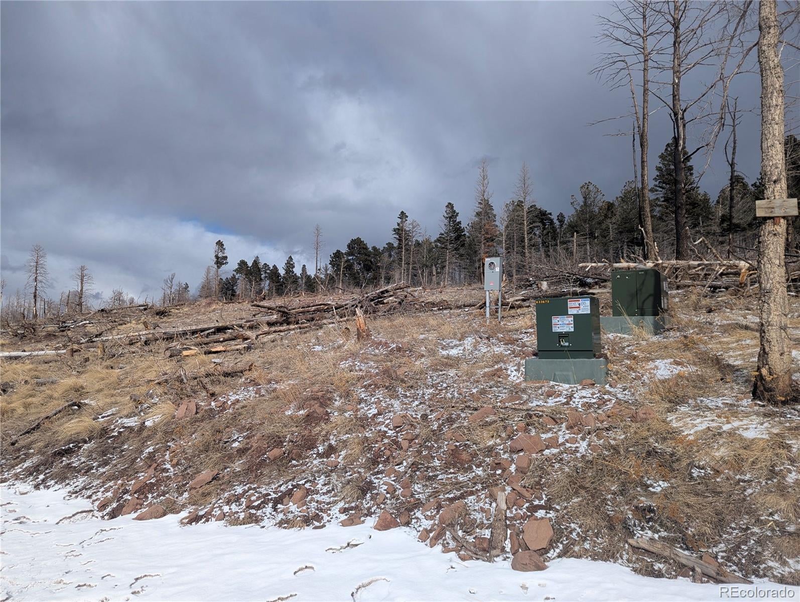 Photo of Listing #8081808