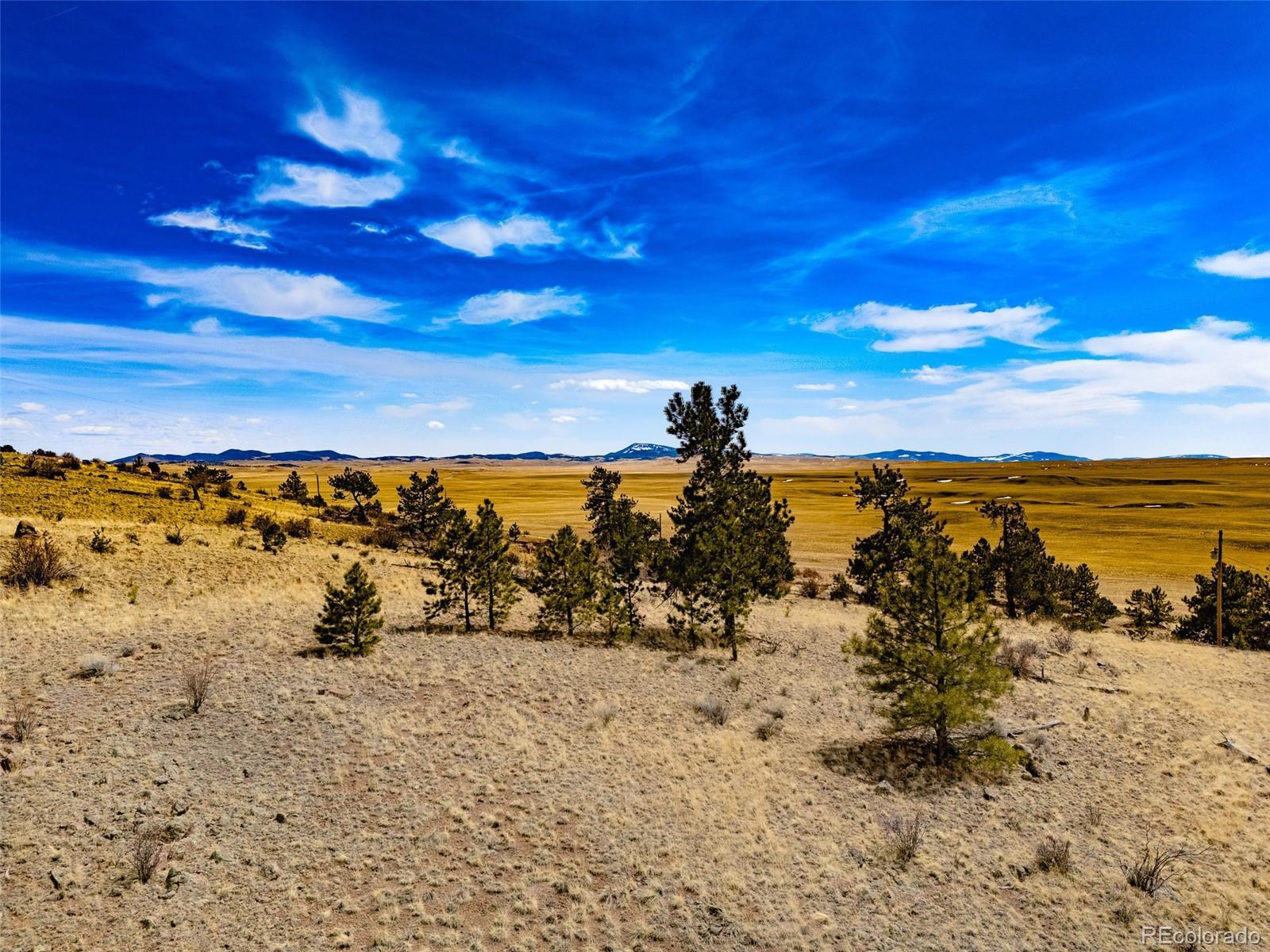 Photo of Listing #8095066