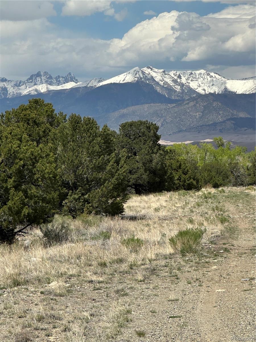 Photo of Listing #8111854