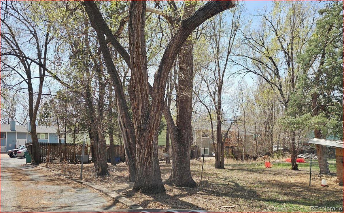 Photo of Listing #8122999