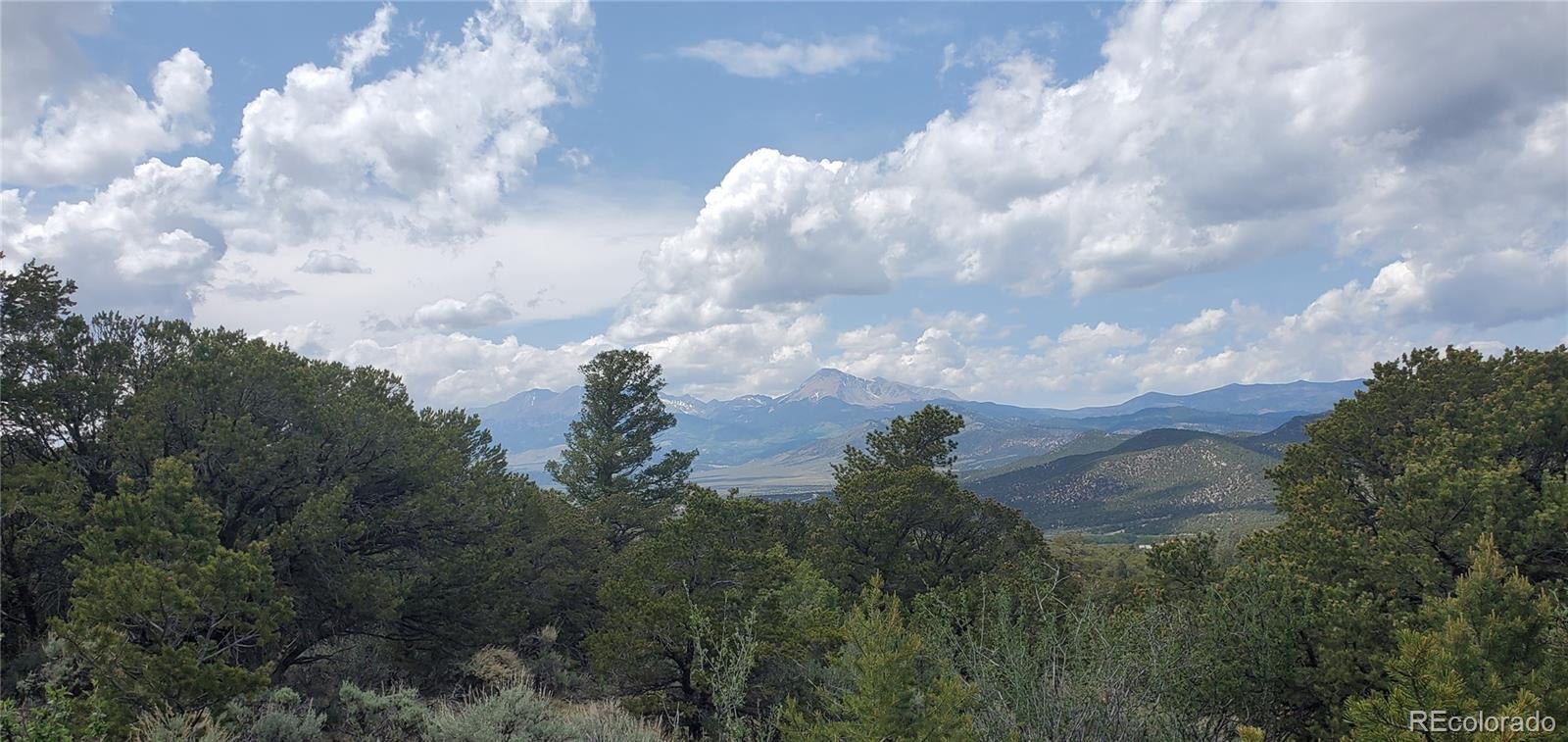 Photo of Listing #8129460