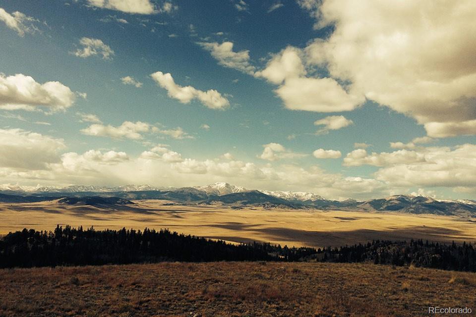 Photo of Listing #8163610