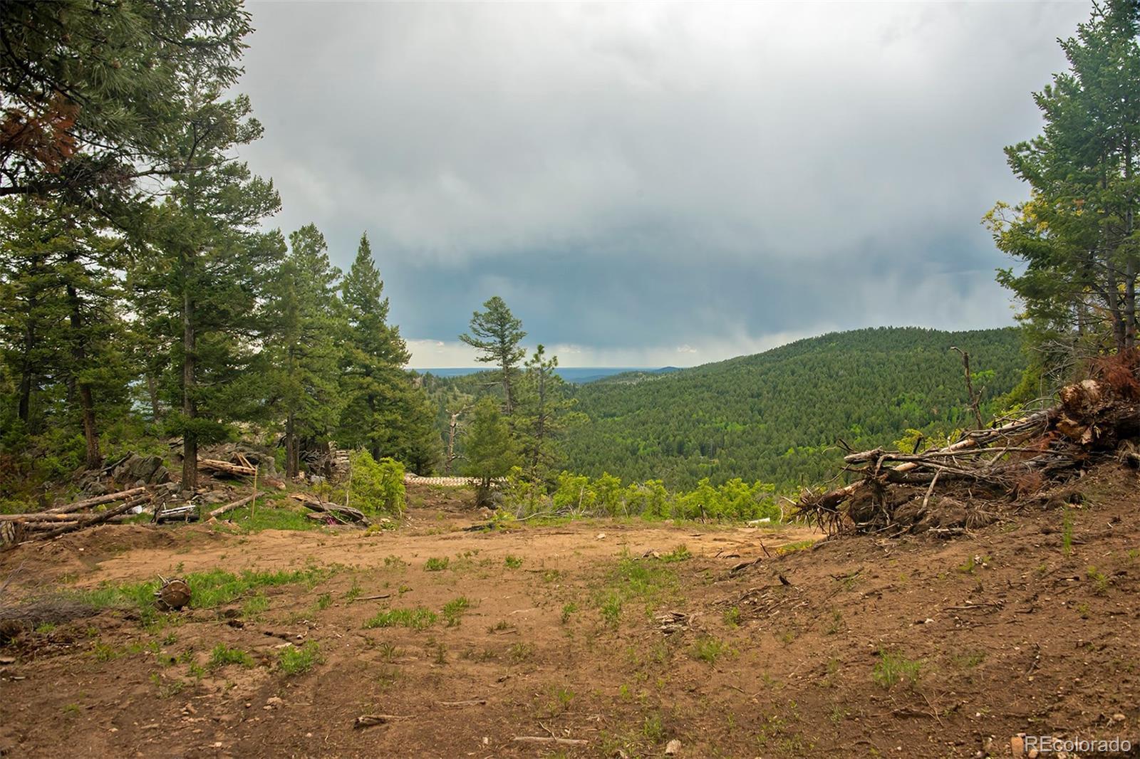 Photo of Listing #8176868