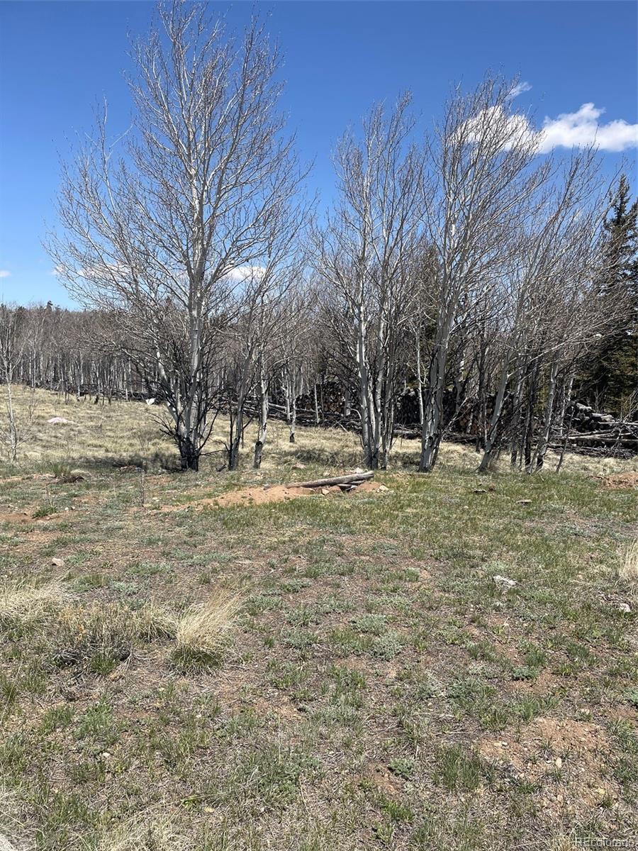 Photo of Listing #8181646