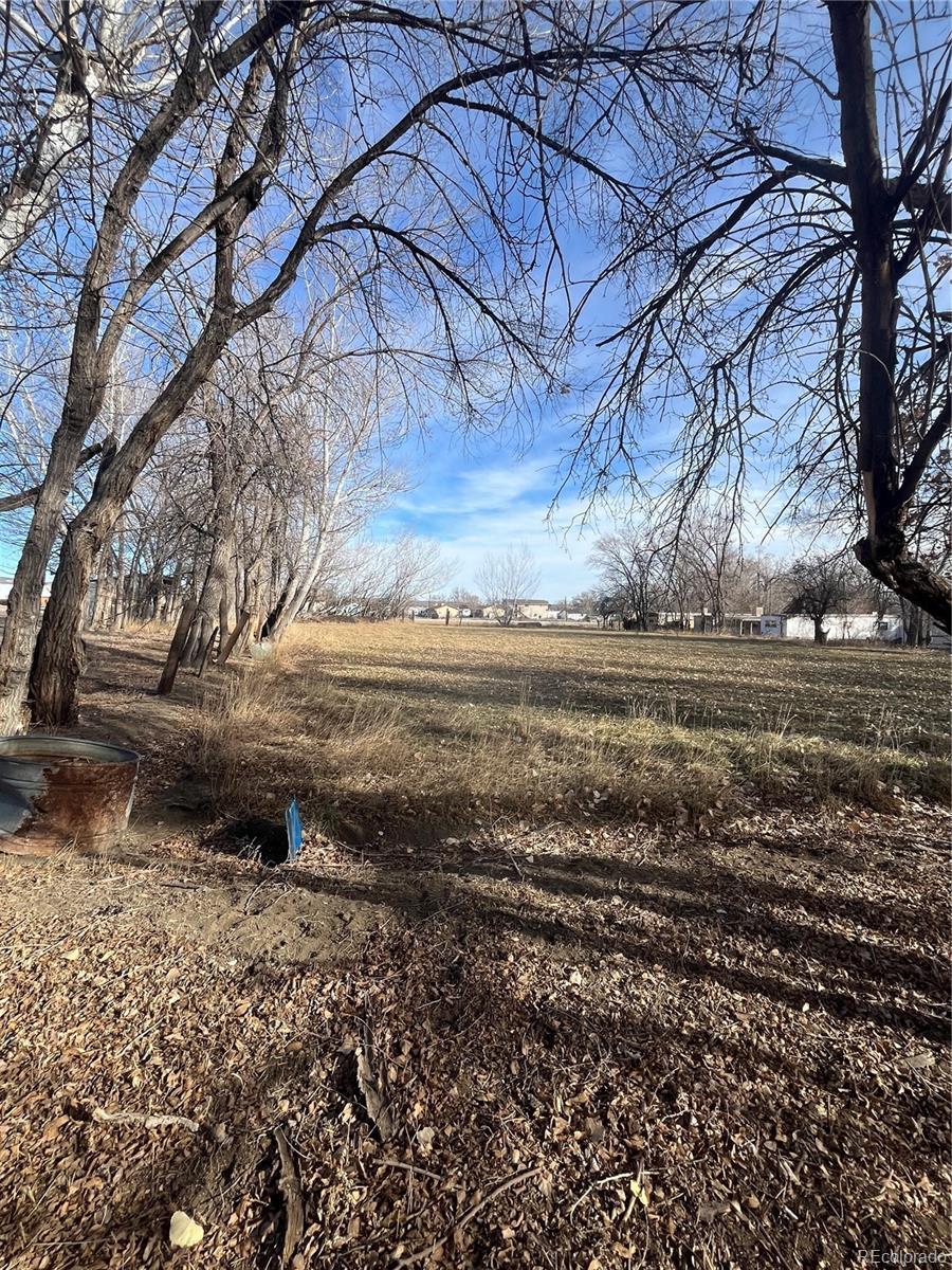 Photo of Listing #8184542