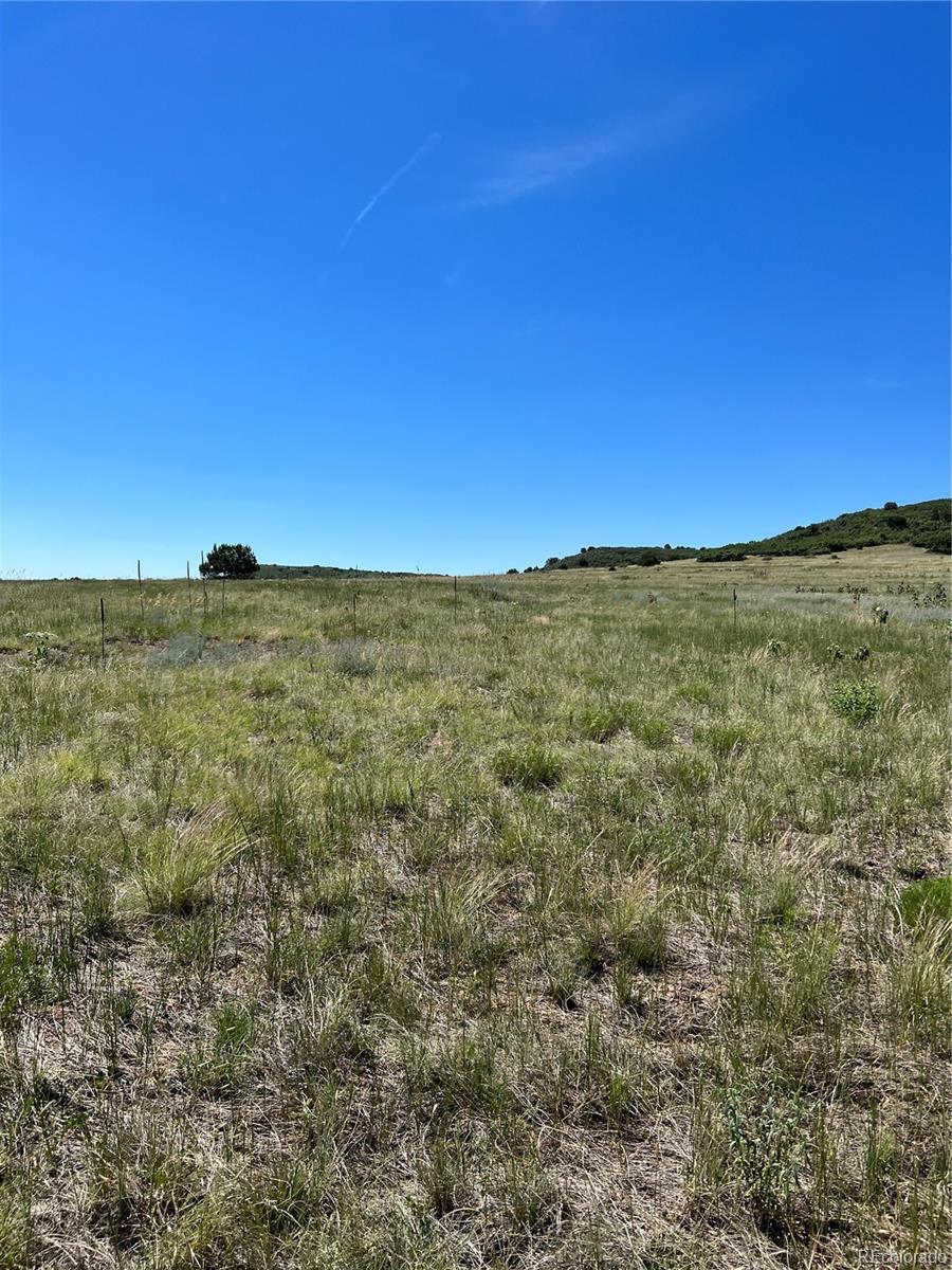 Photo of Listing #8220565