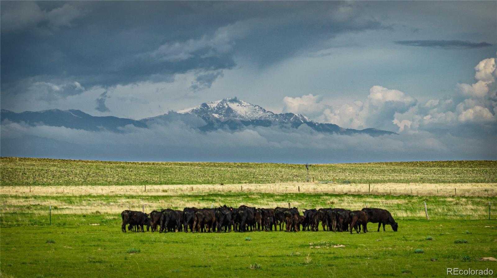 Photo of Listing #8221523