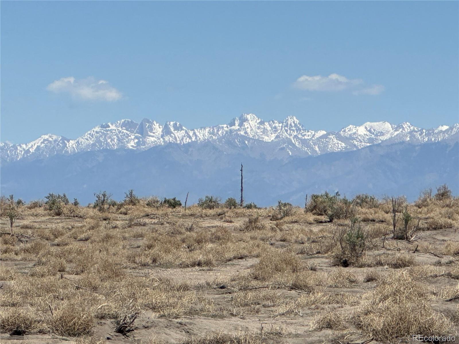 Photo of Listing #8222809