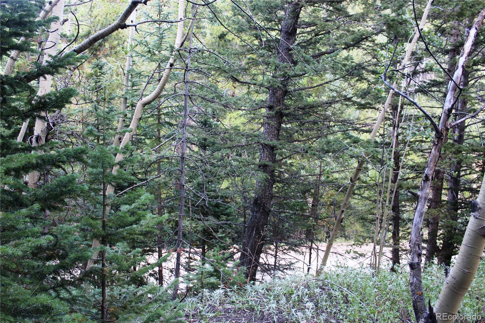 Photo of Listing #8312480