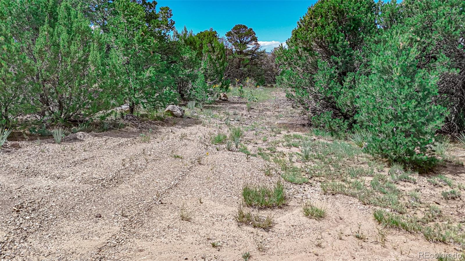 Photo of Listing #8325005