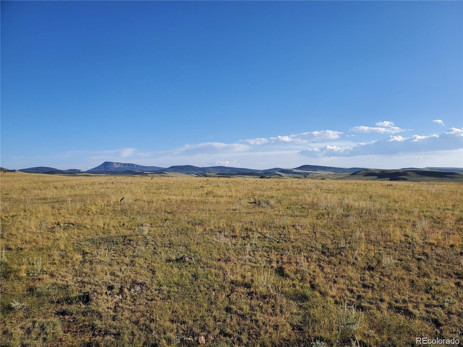 Photo of Listing #8332948