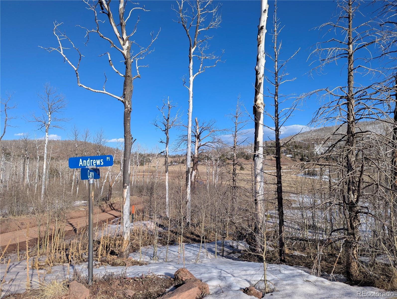 Photo of Listing #8333662