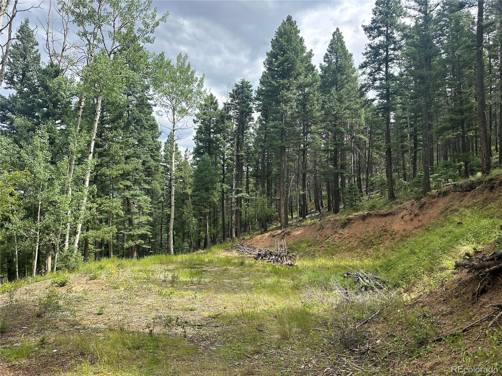Photo of Listing #8340727