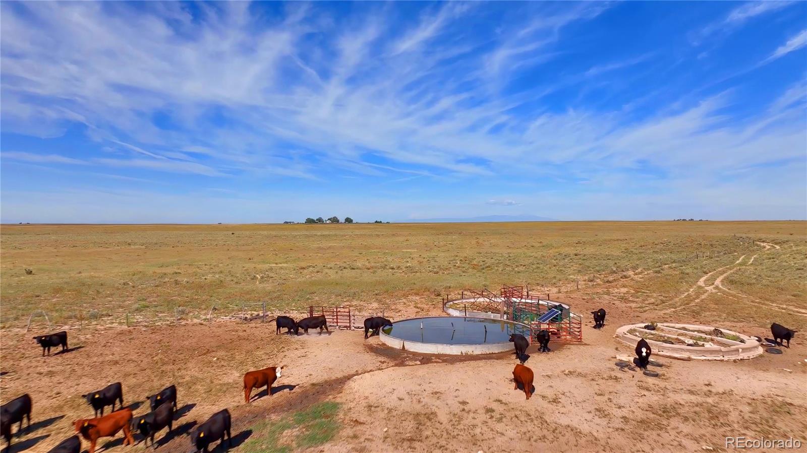 Photo of Listing #8344705