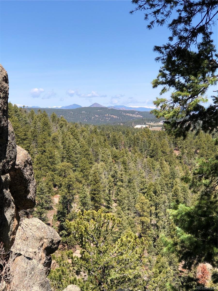 Photo of Listing #8388434