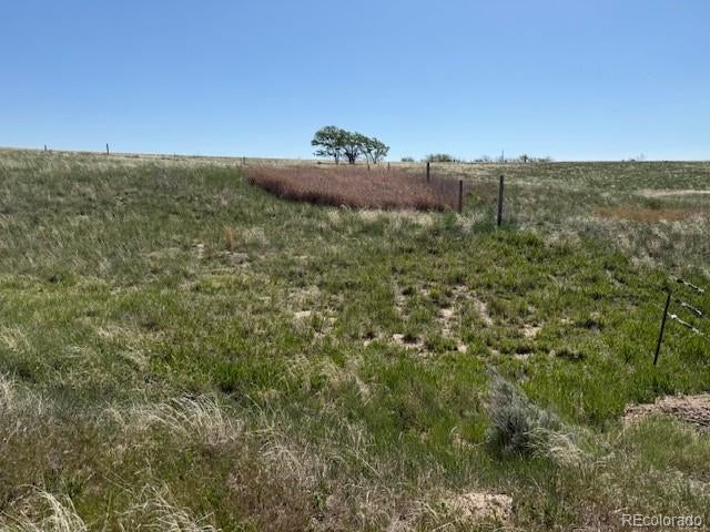 Photo of Listing #8400626