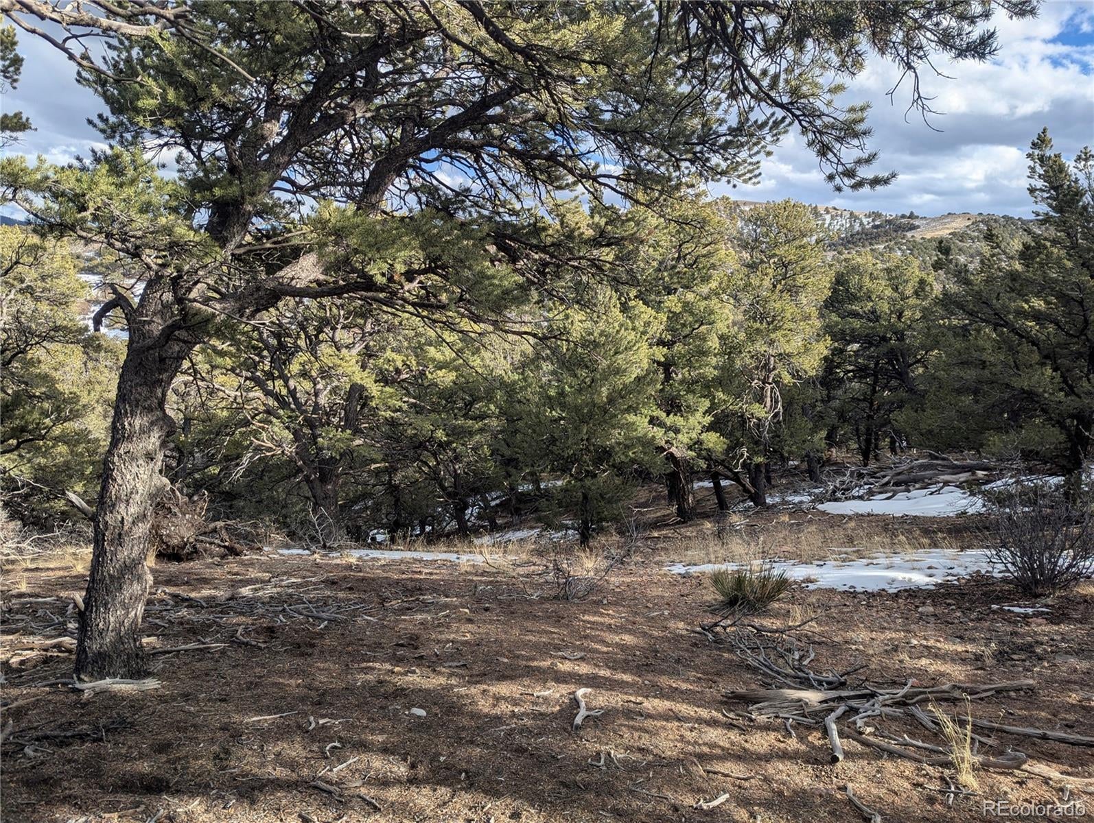 Photo of Listing #8542414