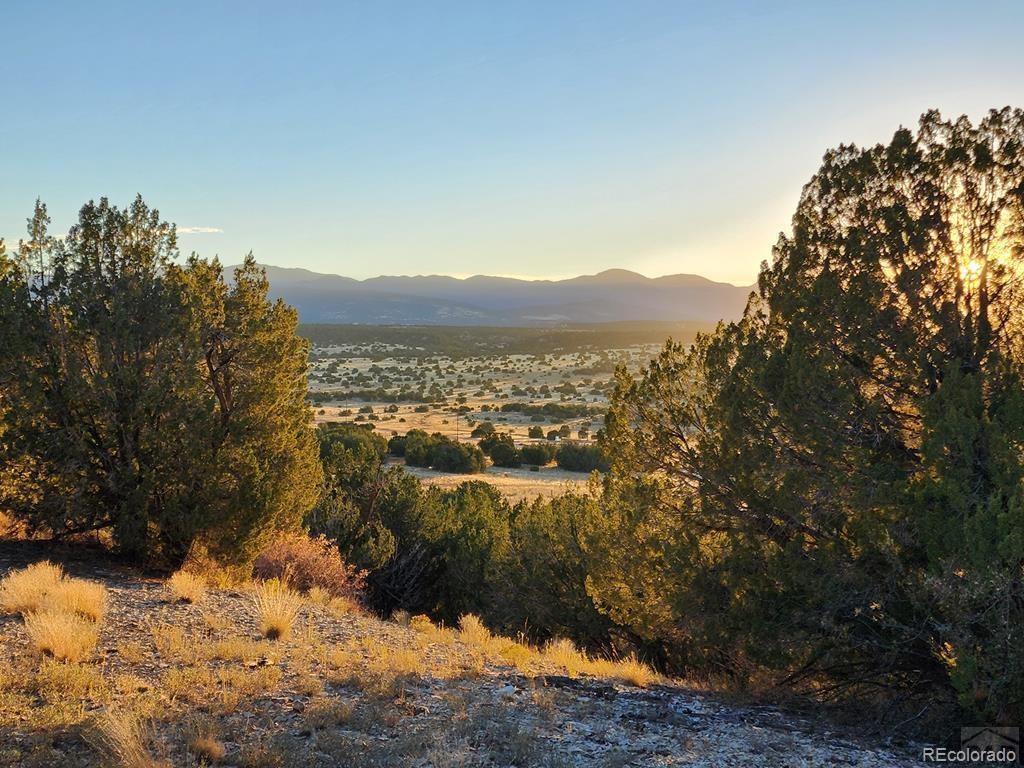 Photo of Listing #8545021