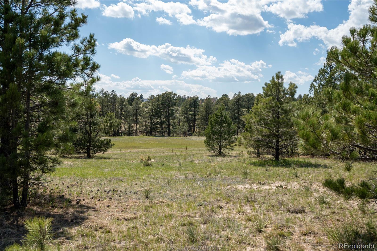 Photo of Listing #8560259