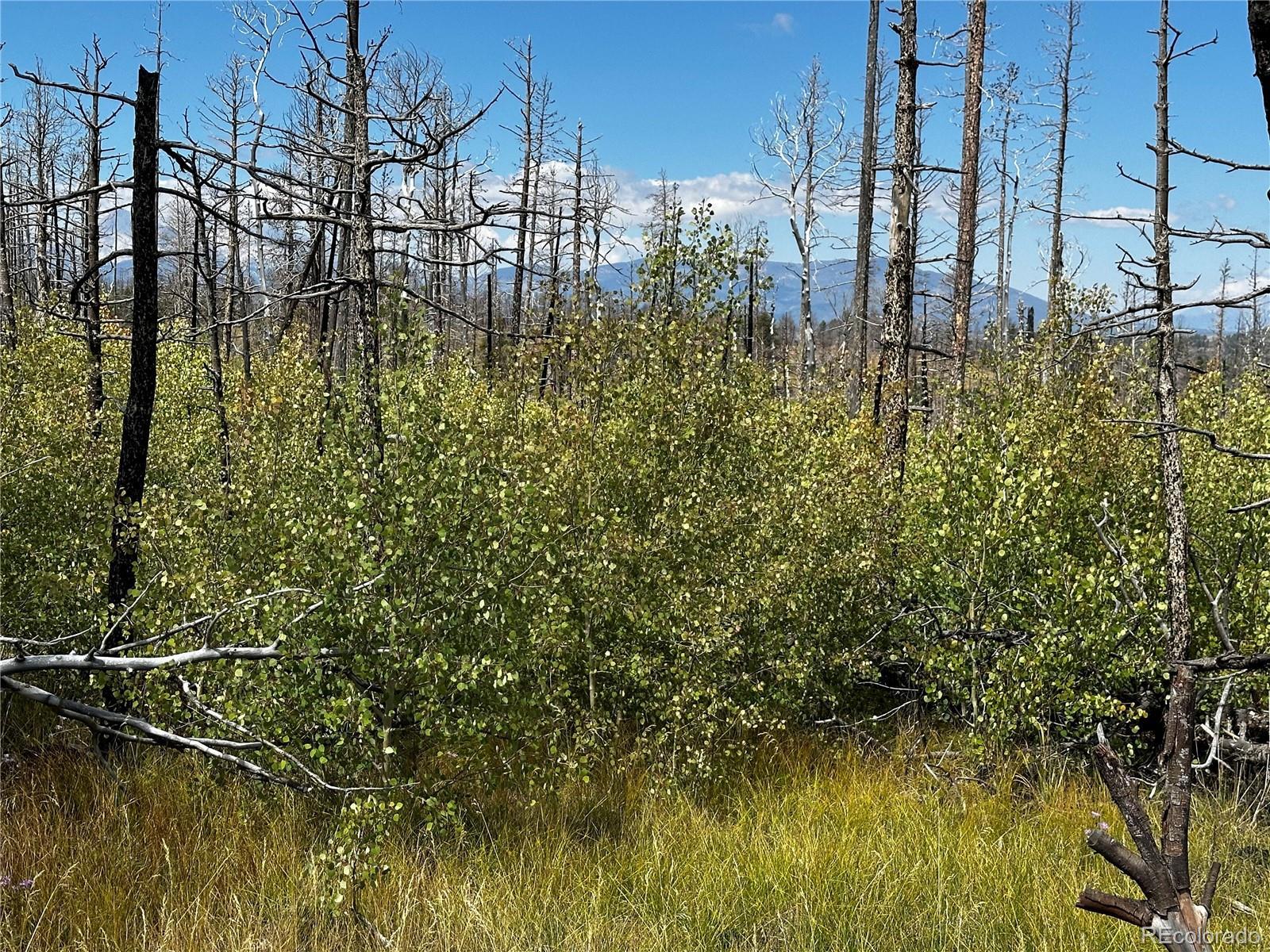 Photo of Listing #8587045