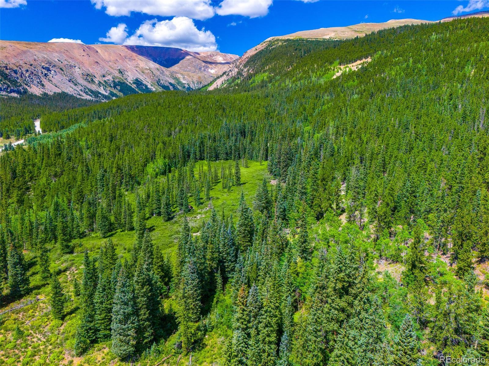 Photo of Listing #8700852