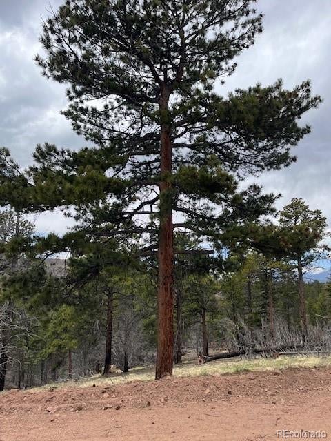 Photo of Listing #8713938