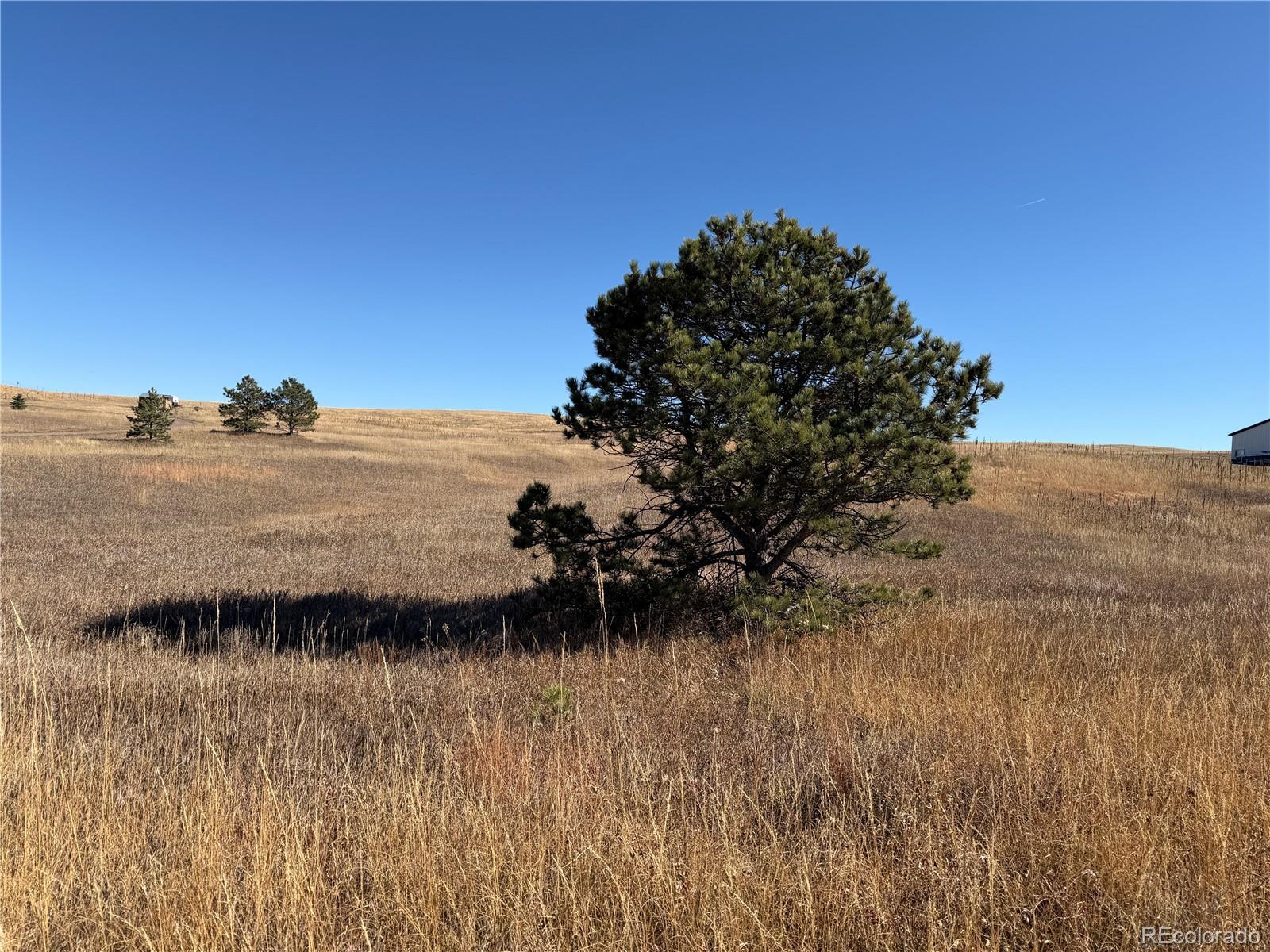 Photo of Listing #8731594