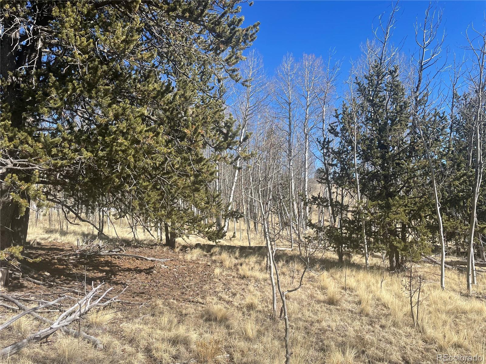 Photo of Listing #8808599