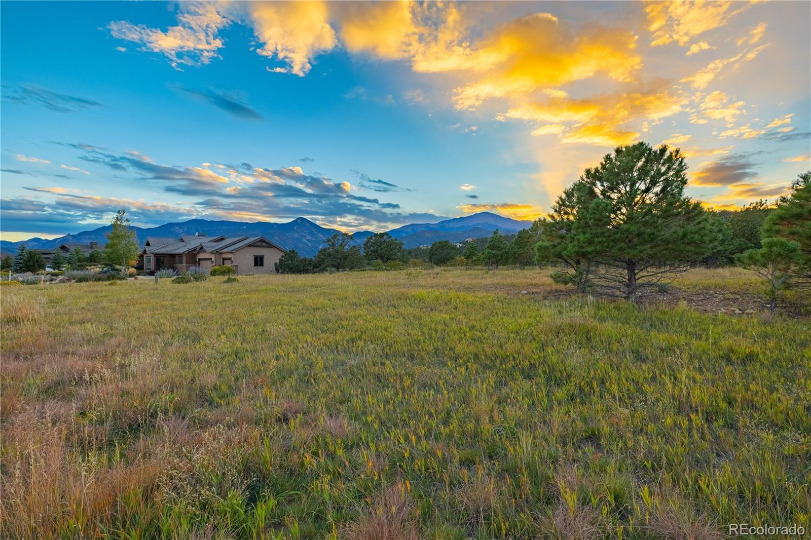 Photo of Listing #8822766