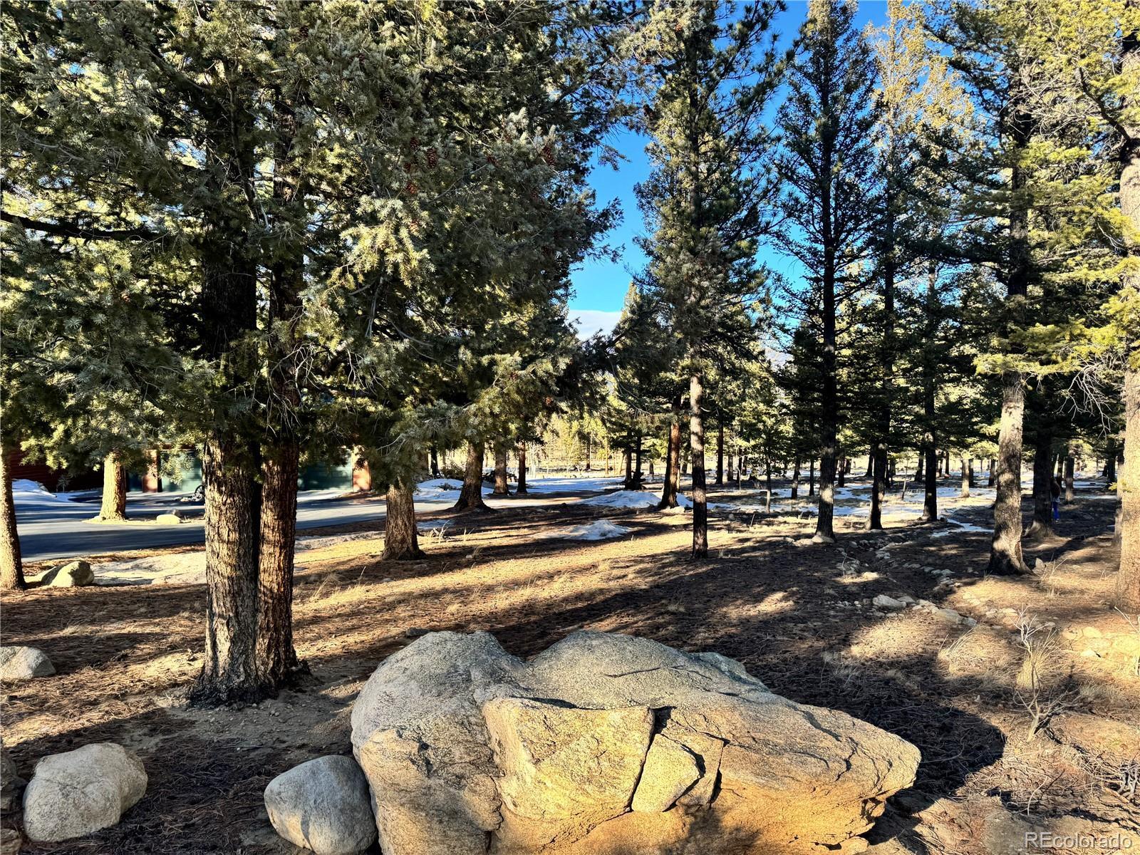 Photo of Listing #8824463